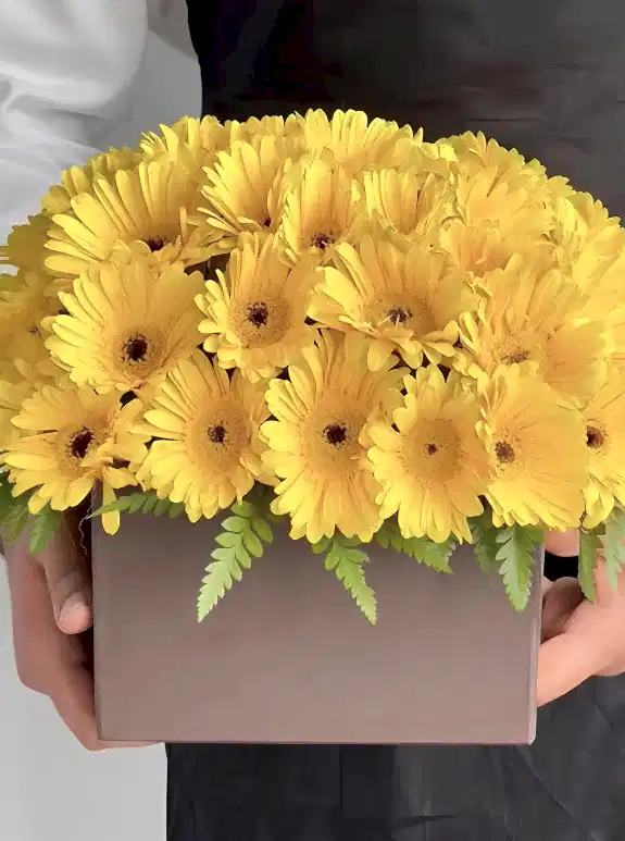 Kutuda Sarı Gerbera